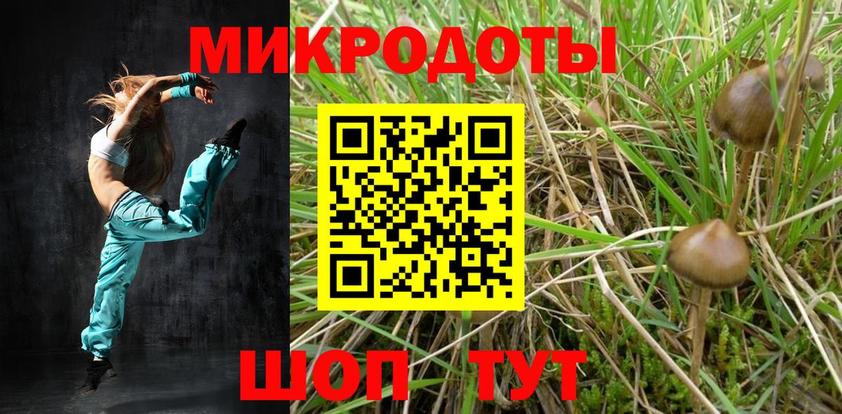 Псилоцибиновые грибы Cubensis Петропавловск-Камчатский