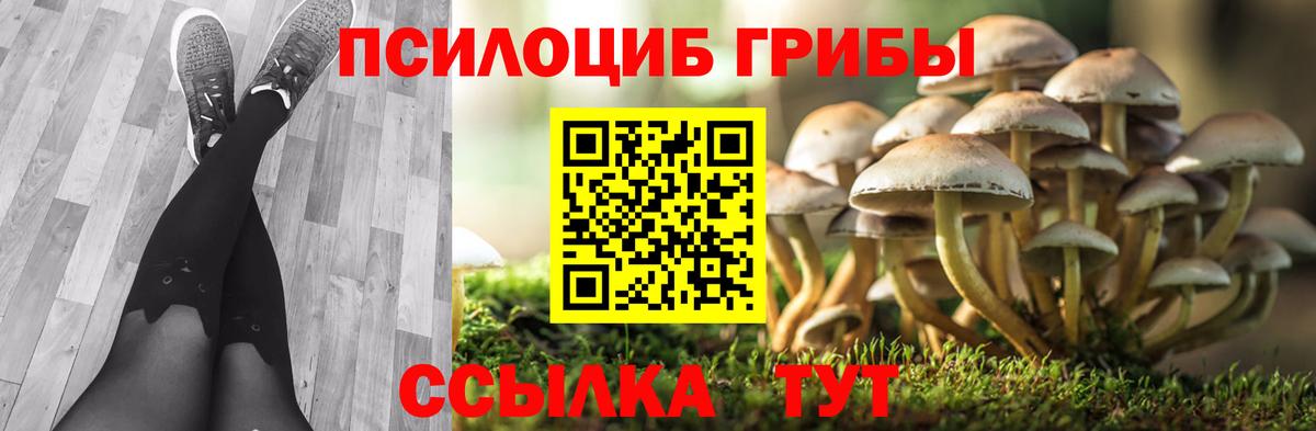 Псилоцибиновые грибы прущие грибы  Псилоцибиновые грибы прущие грибы  Петропавловск-Камчатский  Вход с VPN 